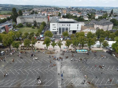 Saint-Flour Chevaux - 27-08-2022(0530).jpg